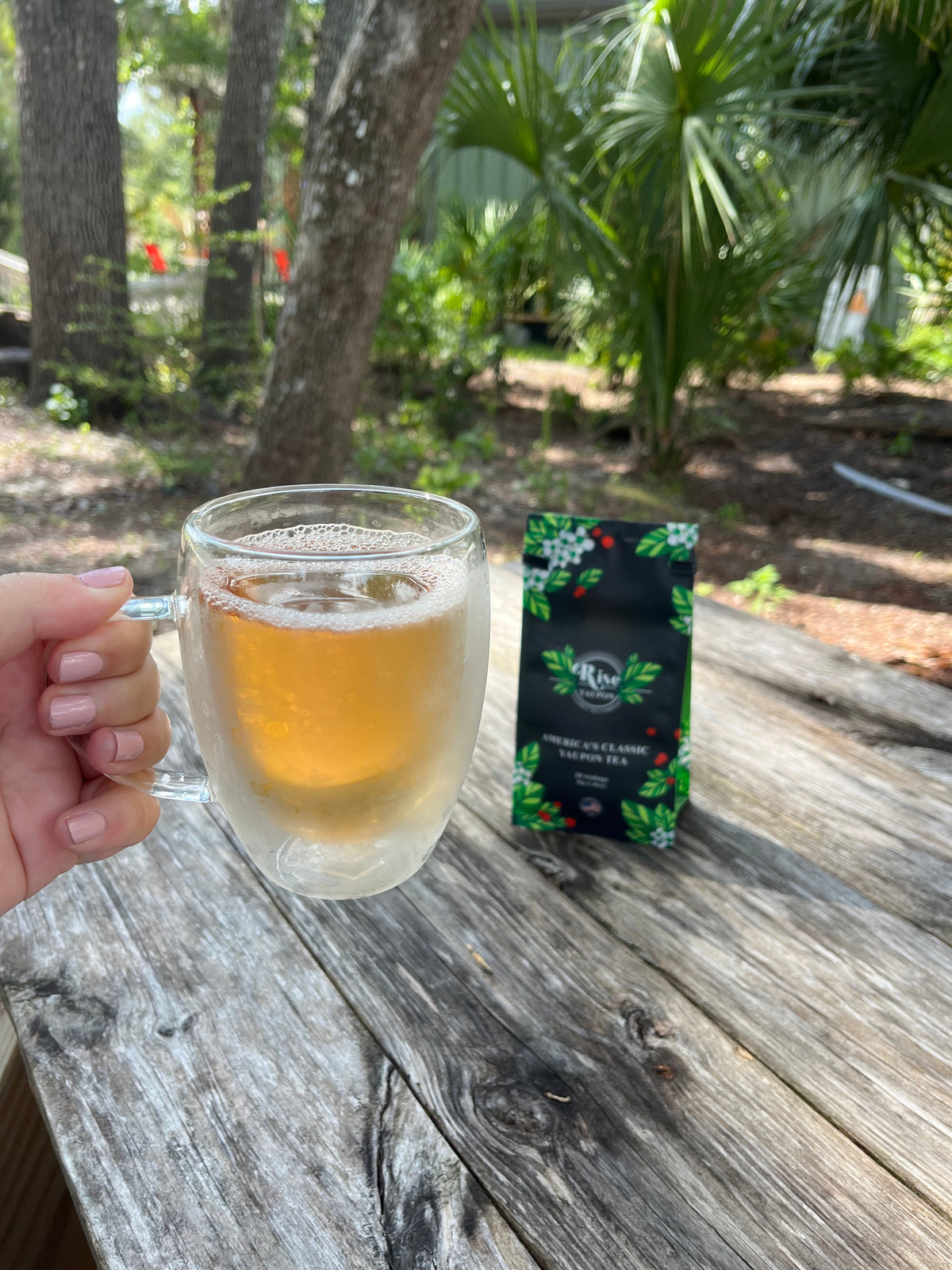 Is Yaupon Tea Safe to Drink Daily?