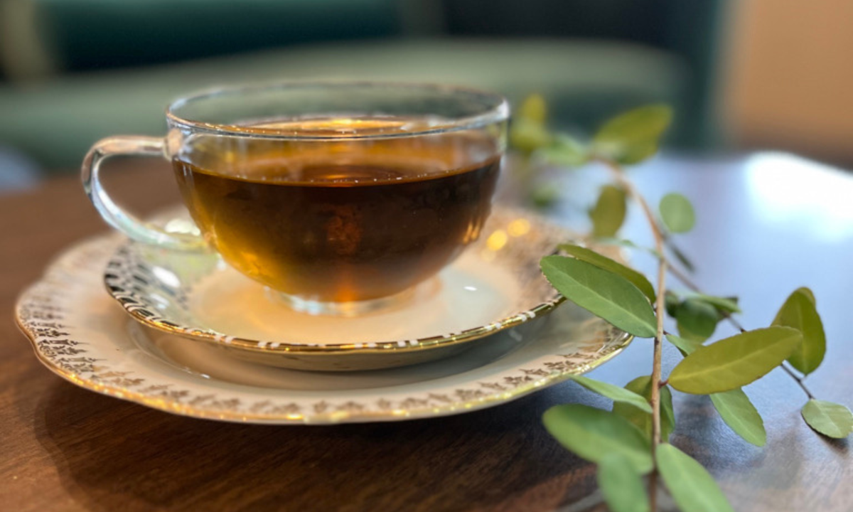 Why drink Yaupon Holly Tea?