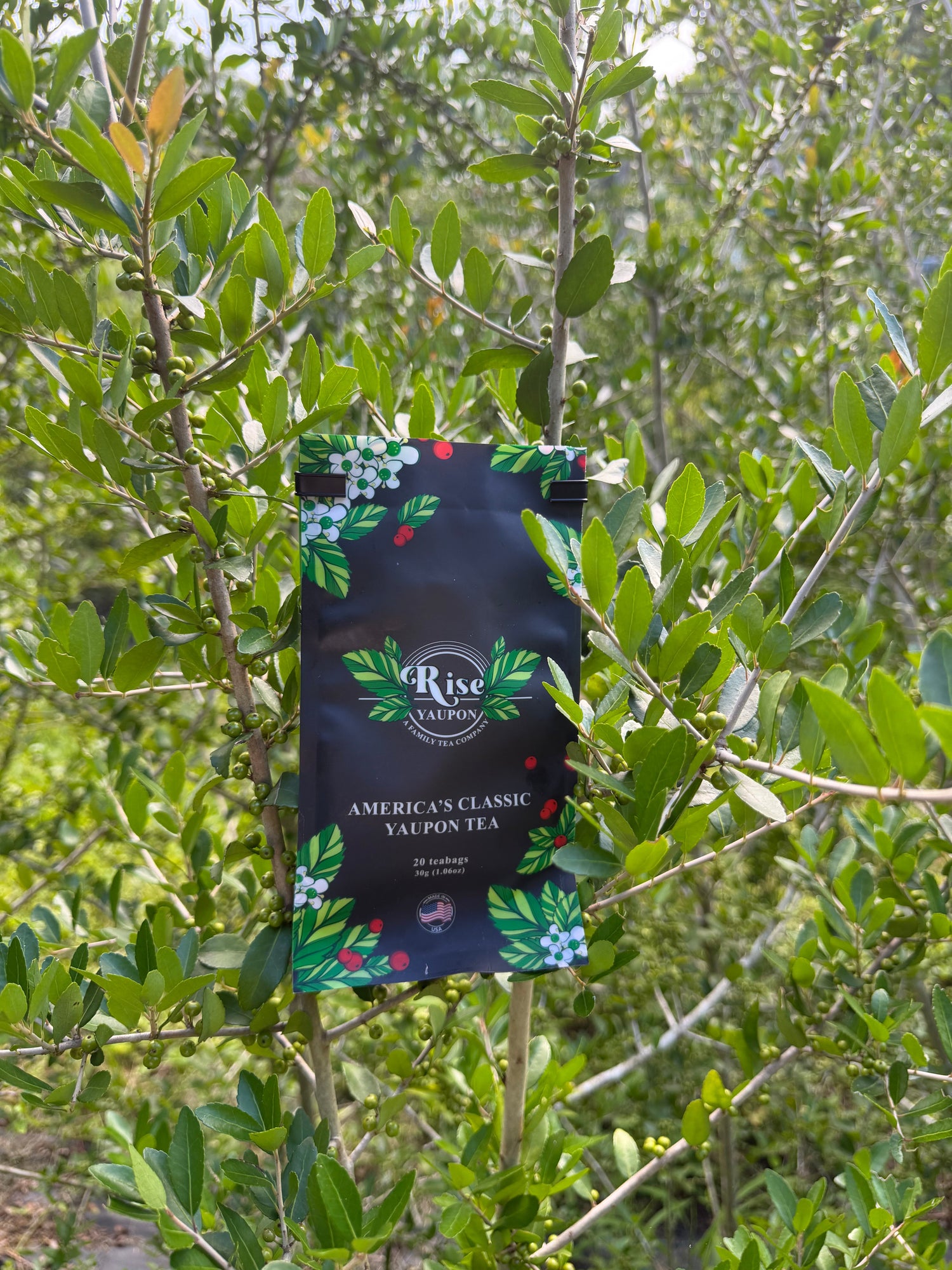 America's Classic Yaupon Tea - The Story Behind The Blend