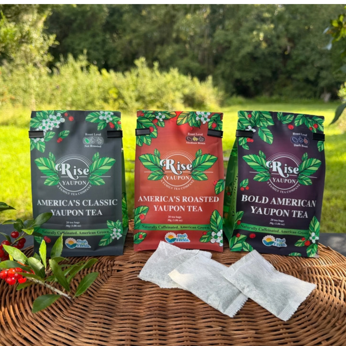Bold American Yaupon Tea